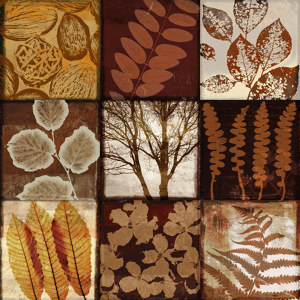 herbst-collage