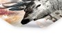 Impression de cerf