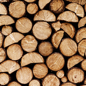 Holz gestapelt
