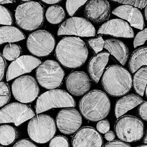 Holz gestapelt