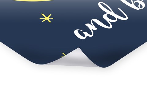 I love you to the moon Bild