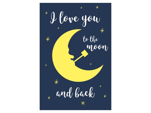 I love you to the moon Bild