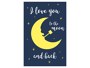 I love you to the moon Bild