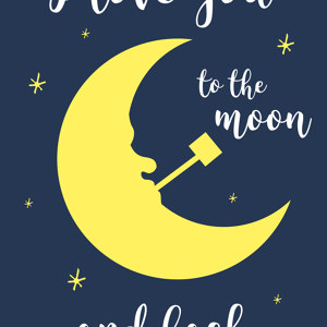 I love you to the moon Bild
