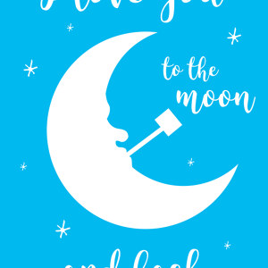 I love you to the moon Bild