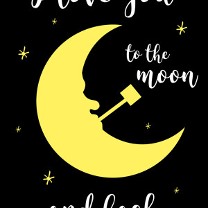 I love you to the moon Bild