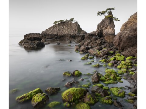 Oita Coastline