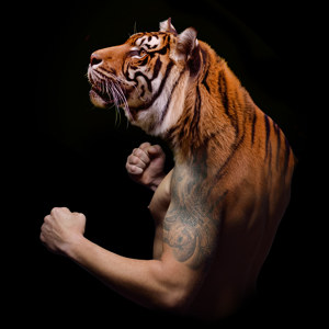 Tiger Design Bild