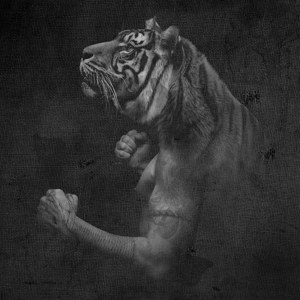 Tiger Design Bild