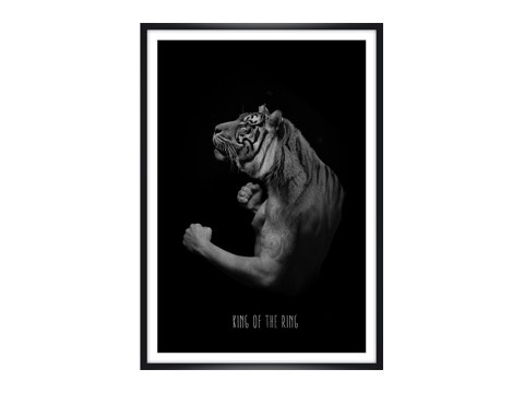 Tiger Design Bild