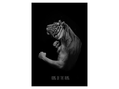 Tiger Design Bild