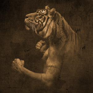 Tiger Design Bild