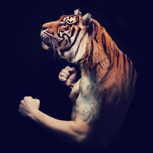 Tiger Design Bild
