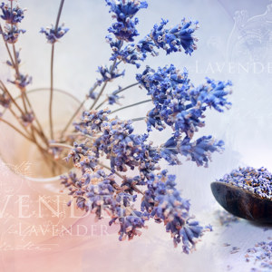 Lavendel Motiv