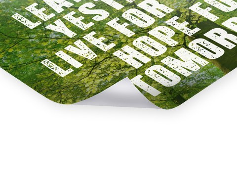 Learn From Yesterday