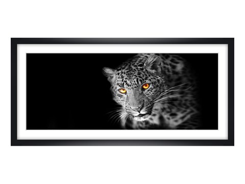 Leopard Panorama