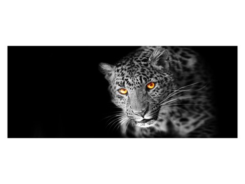Leopard Panorama