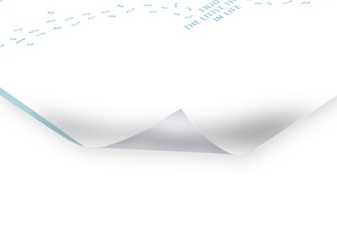 Enjoy the little things in life