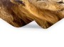 Photos de lions