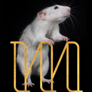 M like Mouse