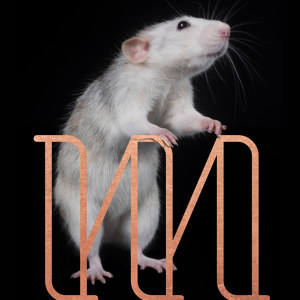 M like Mouse