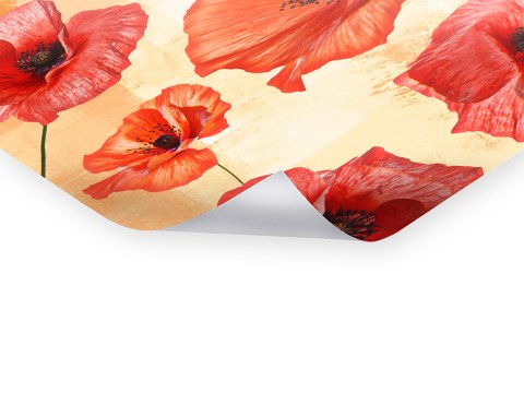 Photos de coquelicots