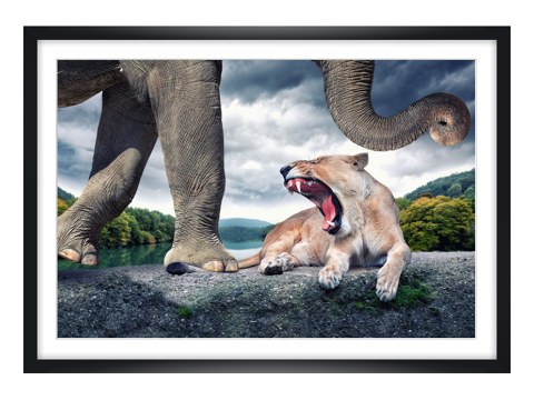 surreeël motief leeuw en olifant