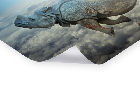 surreales Motiv Nashorn