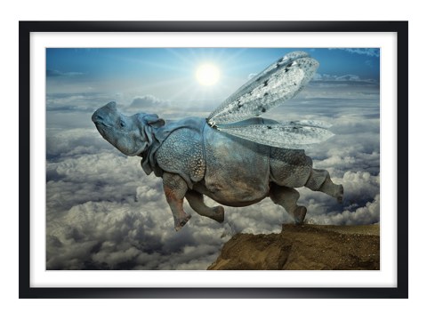 surreales Motiv Nashorn