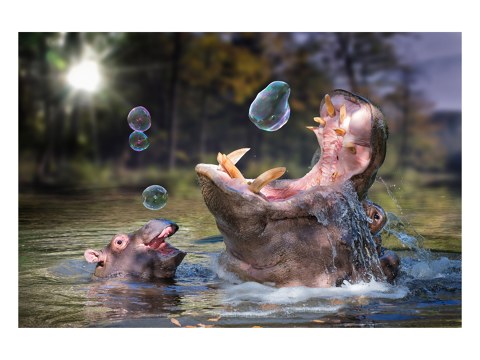 surreales Nilpferd Motiv