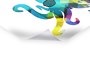 Oktopus Bild