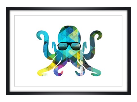 Oktopus Bild