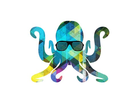 Oktopus Bild