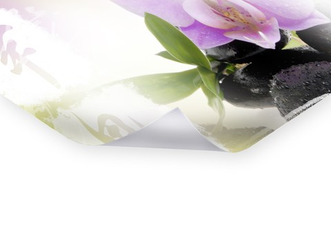 Panorama d'orchidée