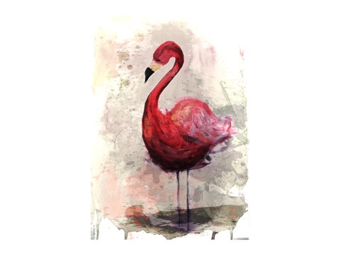 pink Flamingo