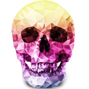 Polygon Skull