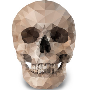 Polygon Skull