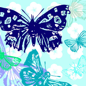 Pop Art Schmetterlinge Bild