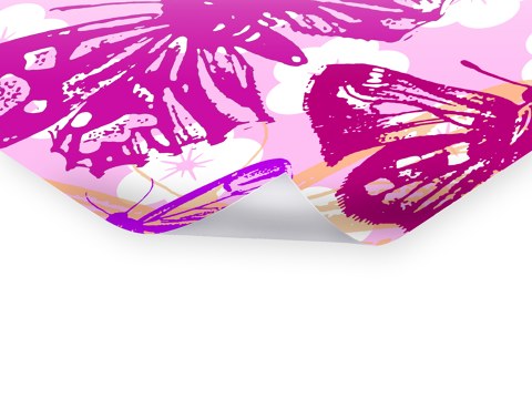 Pop Art Schmetterlinge Bild