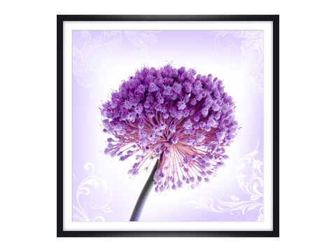 Poster motifs floraux