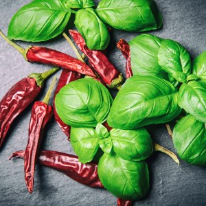 Rot-Grüne Gewürzmischung