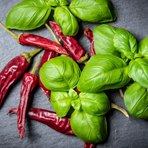 Rot-Grüne Gewürzmischung