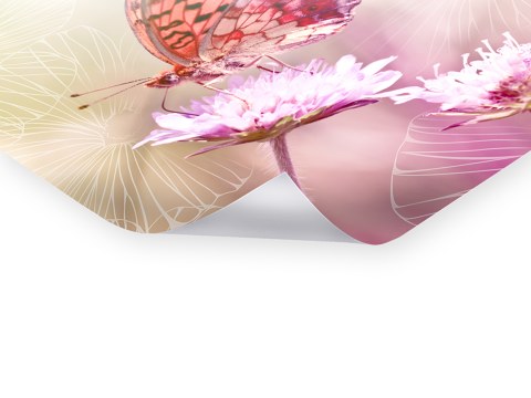 Papillon sur fleur