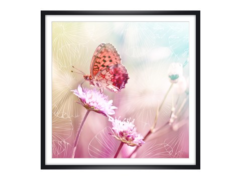 Papillon sur fleur