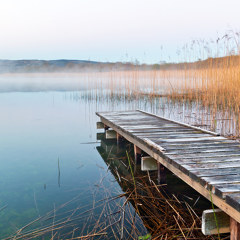 myposter Motivwelt zum Thema Esszimmer