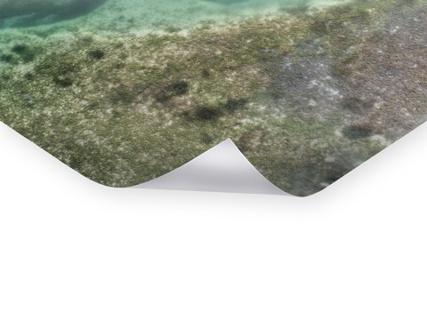 See Landschaft mit Kanu