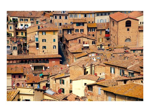 Siena Bild