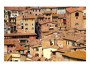 Siena Bild