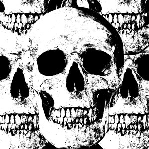 Skulls