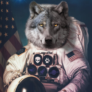 Space Wolf